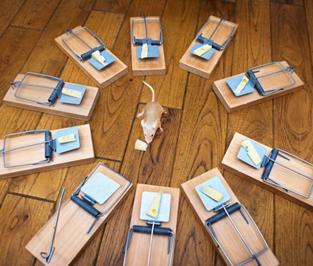 Avoid the micromanagement trap