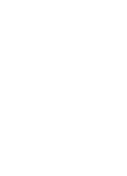 What you get with Pareto Coaching